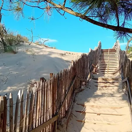 Ocean Forest By Interhome Mimizan-Plage