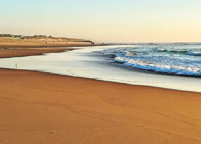 Ocean Forest By Interhome *