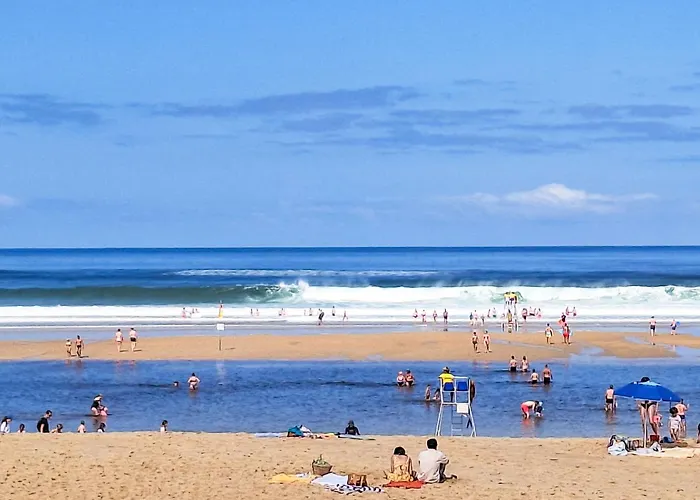 Ocean Forest By Interhome Feriehus