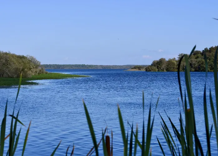 Ocean Forest By Interhome